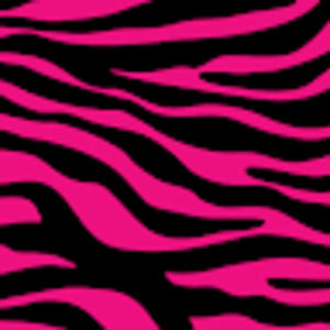 Meet your Posher, Bella